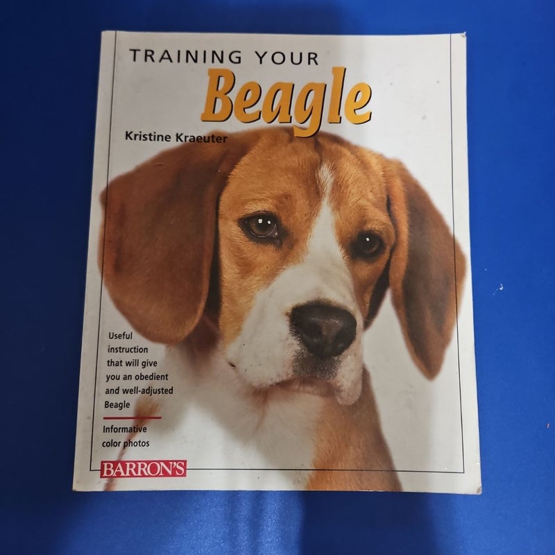 Breed Best Way To Train A Beagle Training Your Beagle By Kristine