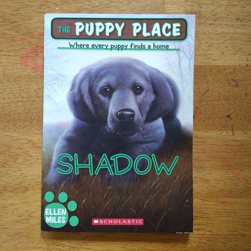 Shadow