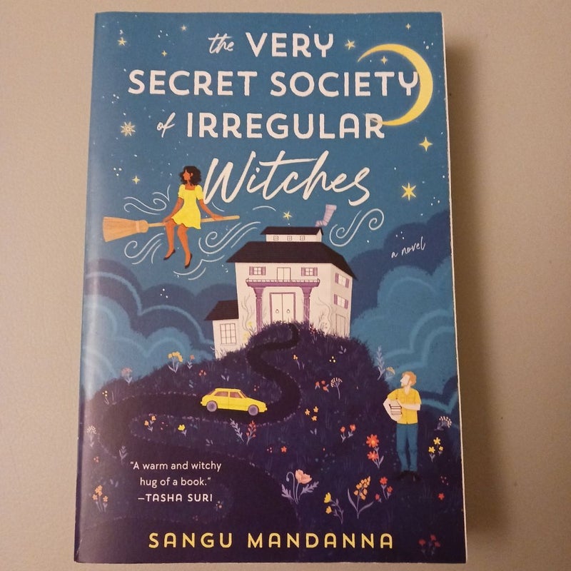 The Very Secret Society of Irregular Witches