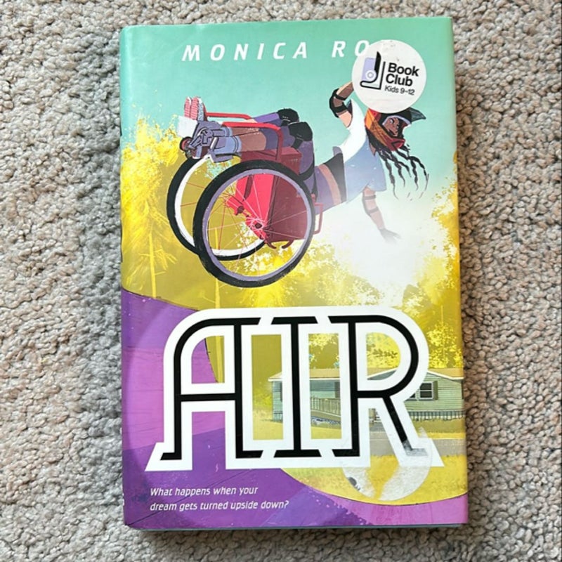 AIR by Monica Roe