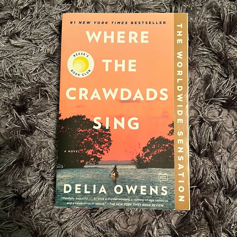 Where the Crawdads Sing