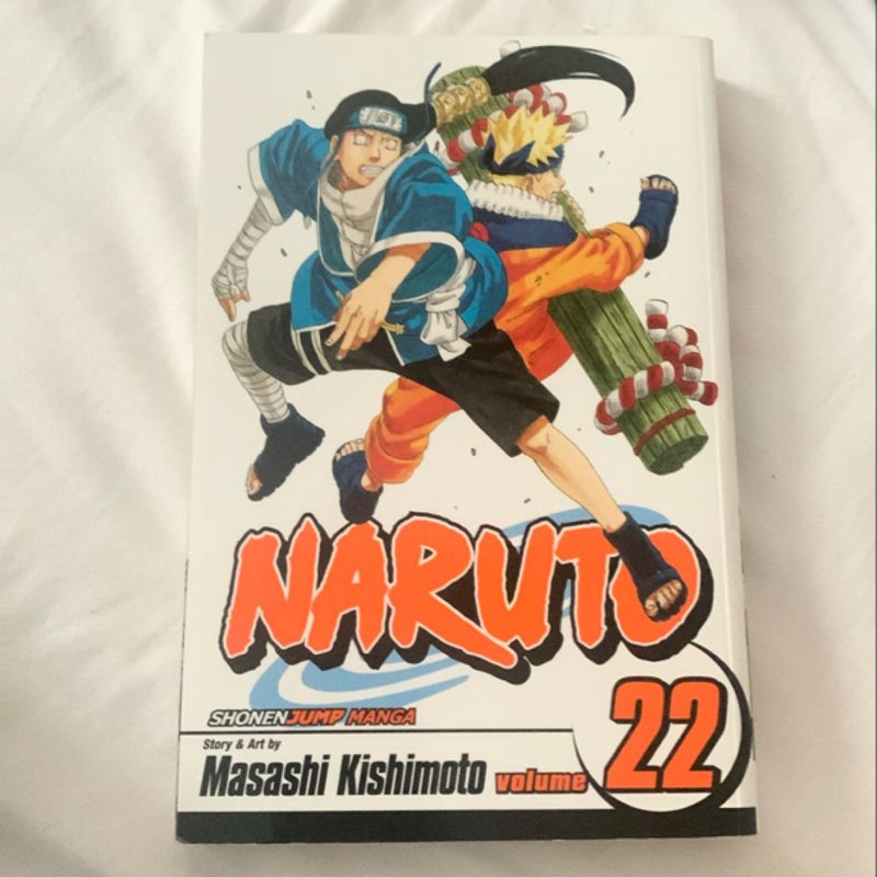 Naruto, Vol. 22