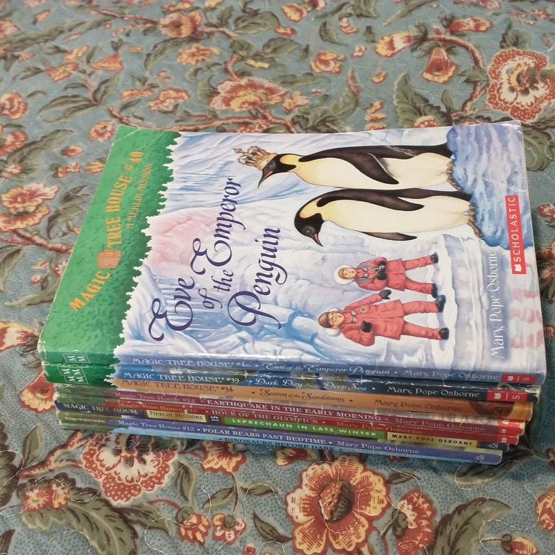 Bundle of 8 Magic Treehouse Books