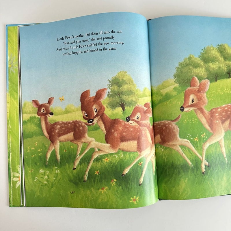 Little Fawn