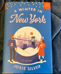 A Winter in New York