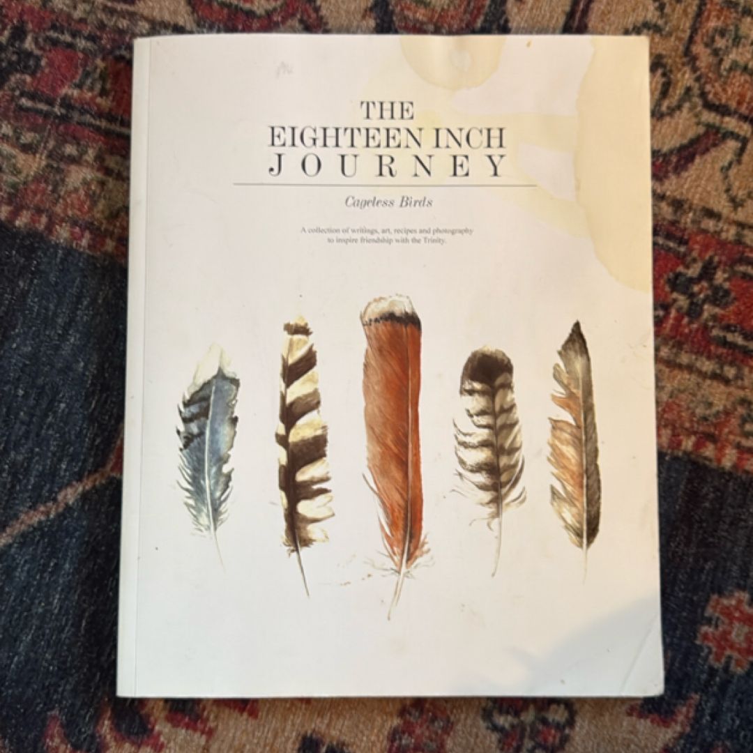 The Eighteen Inch Journey