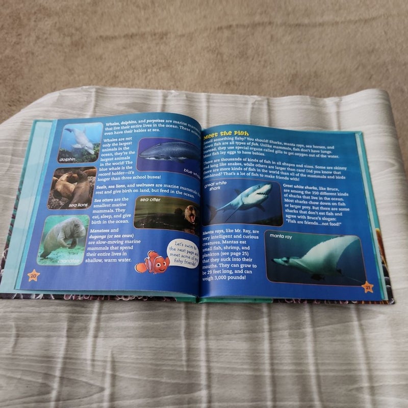 Finding Nemo- Undersea Explorer 