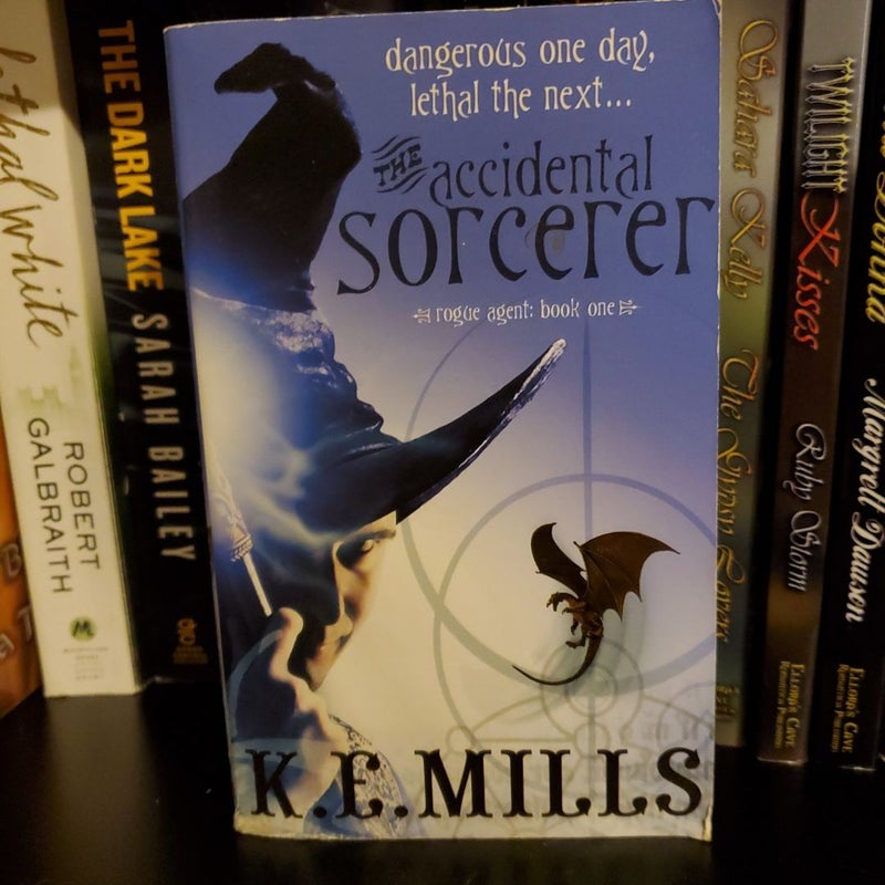 The Accidental Sorcerer