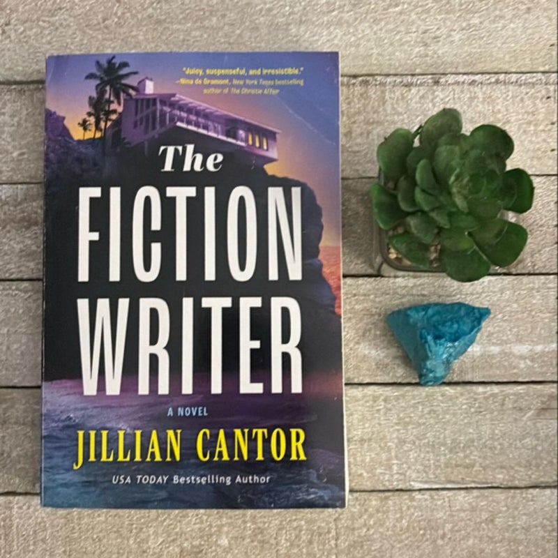 The Fiction Writer