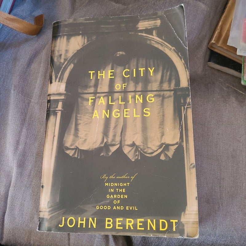 The City Of Falling Angels
