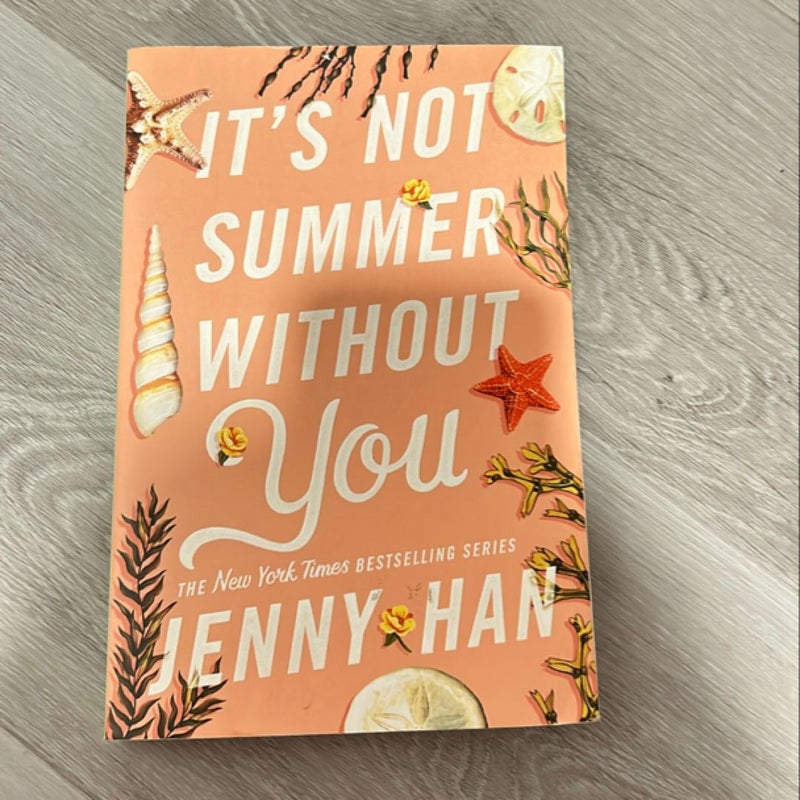 It's Not Summer Without You