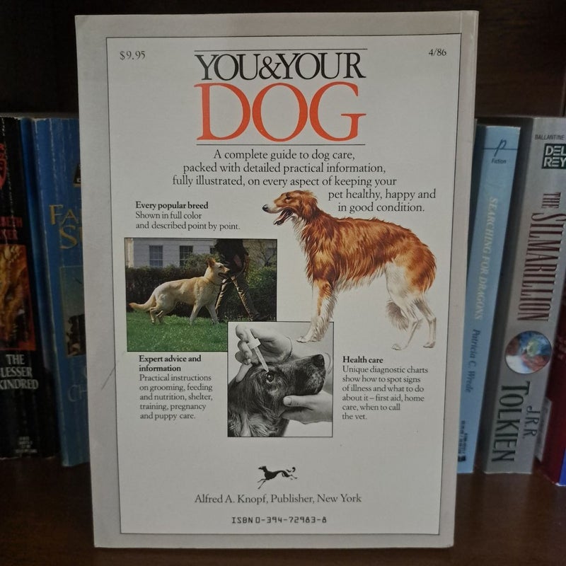 You and Your Dog