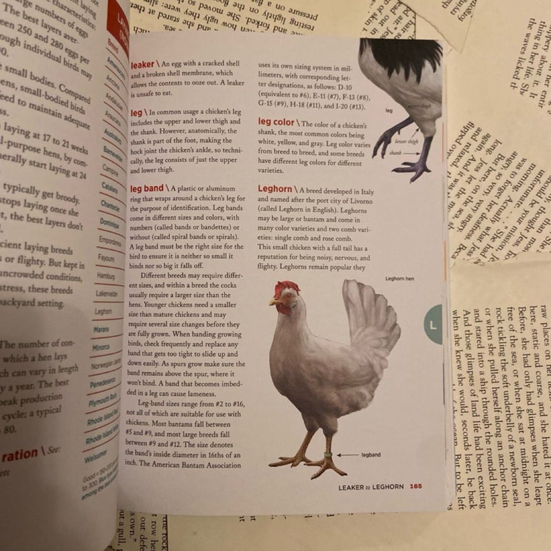 The Chicken Encyclopedia