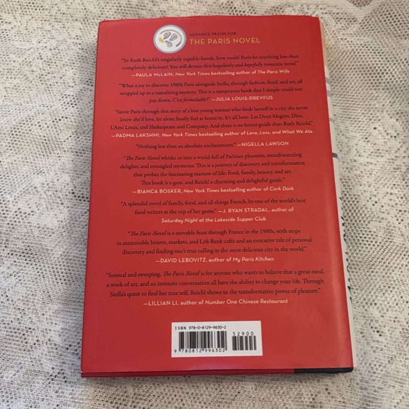The Paris Novel
