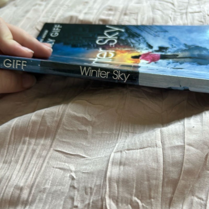 Winter Sky