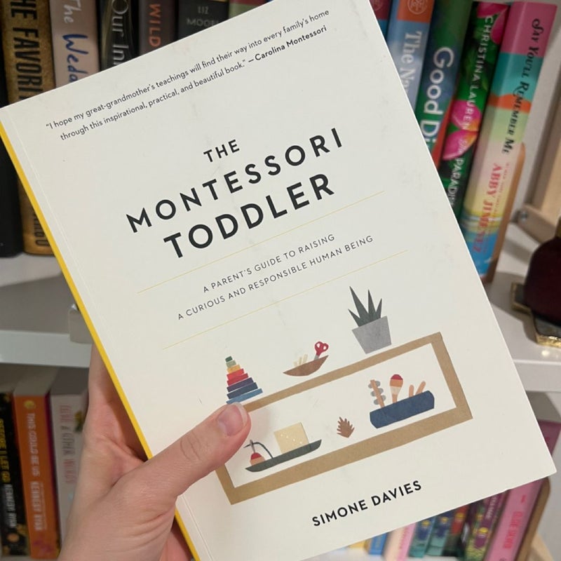The Montessori Toddler