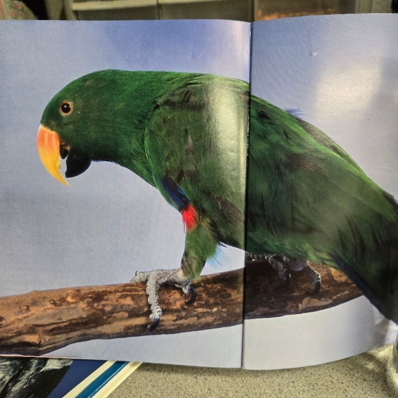 Guide to a Well-Behaved Parrot