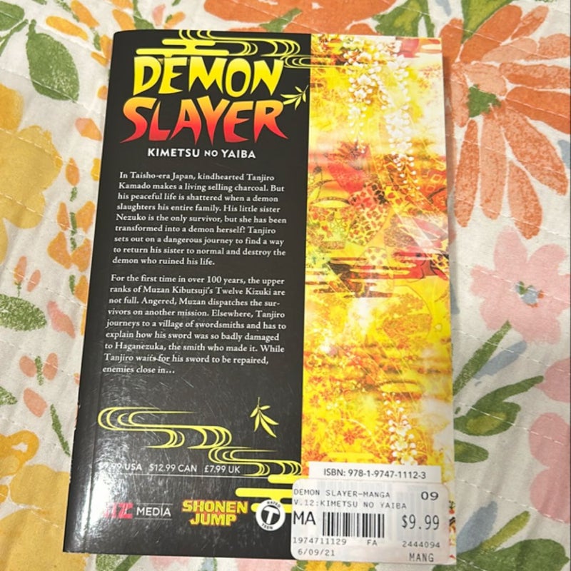 Demon slayer volume 12 