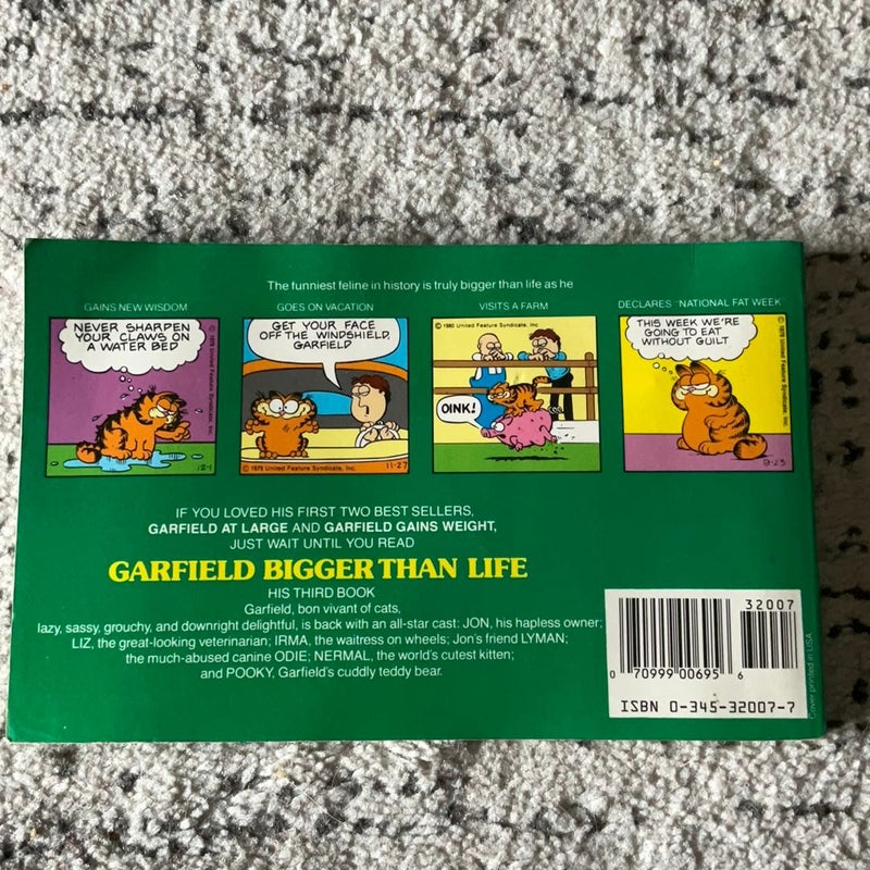 Garfield Bigger Than Life