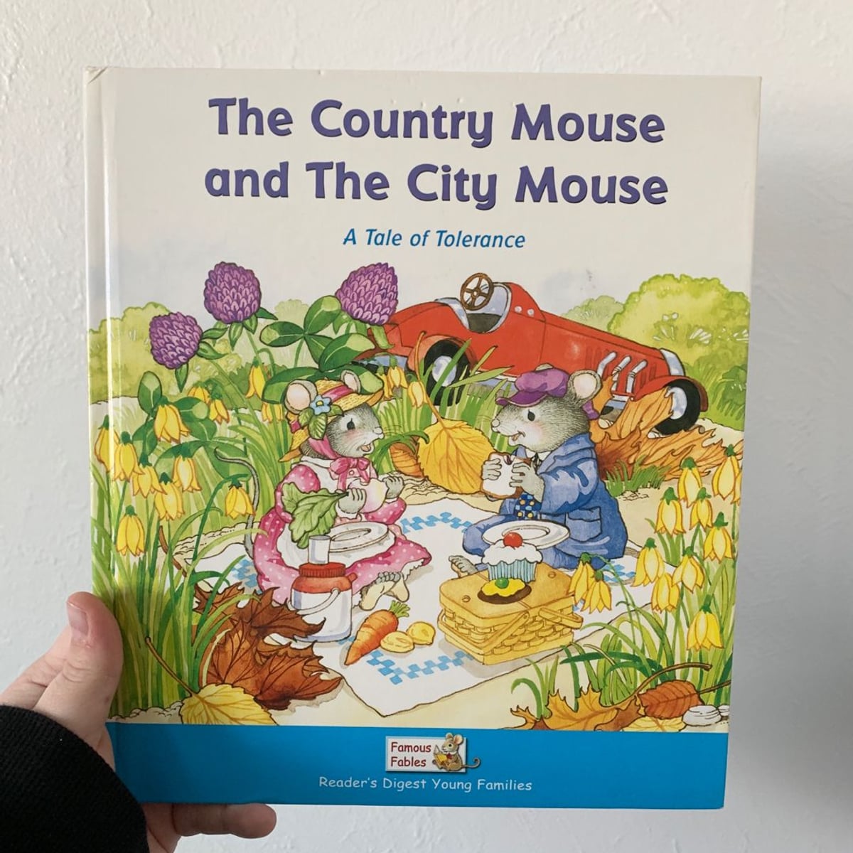 The Country Mouse and the City Mouse by Karen Jennings, Hardcover ...