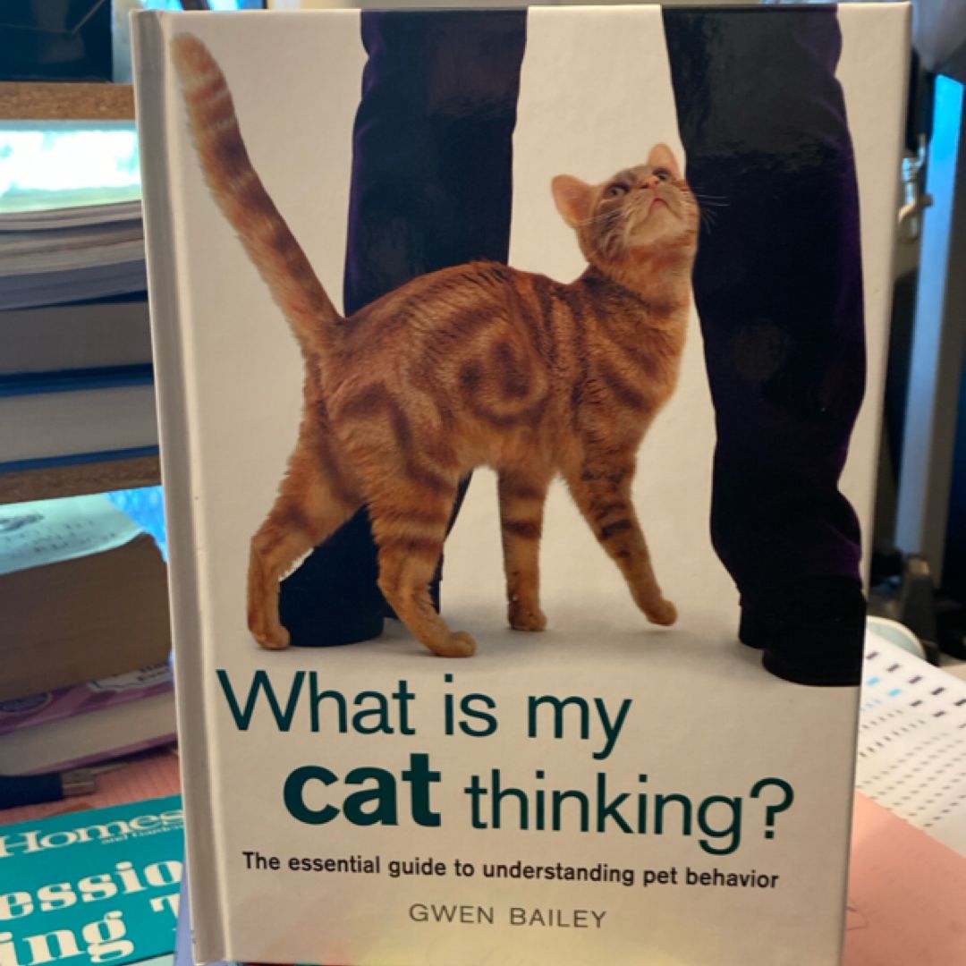 What Is My Cat Thinking?