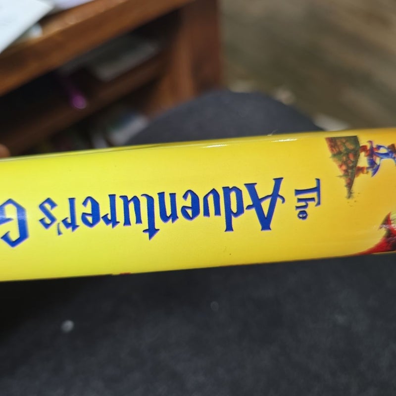 The Adventurer's Guide to Dragons (and Why They Keep Biting Me)