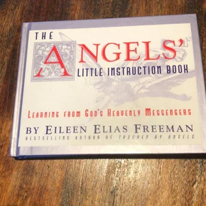 The Angel's Little Instruction Book