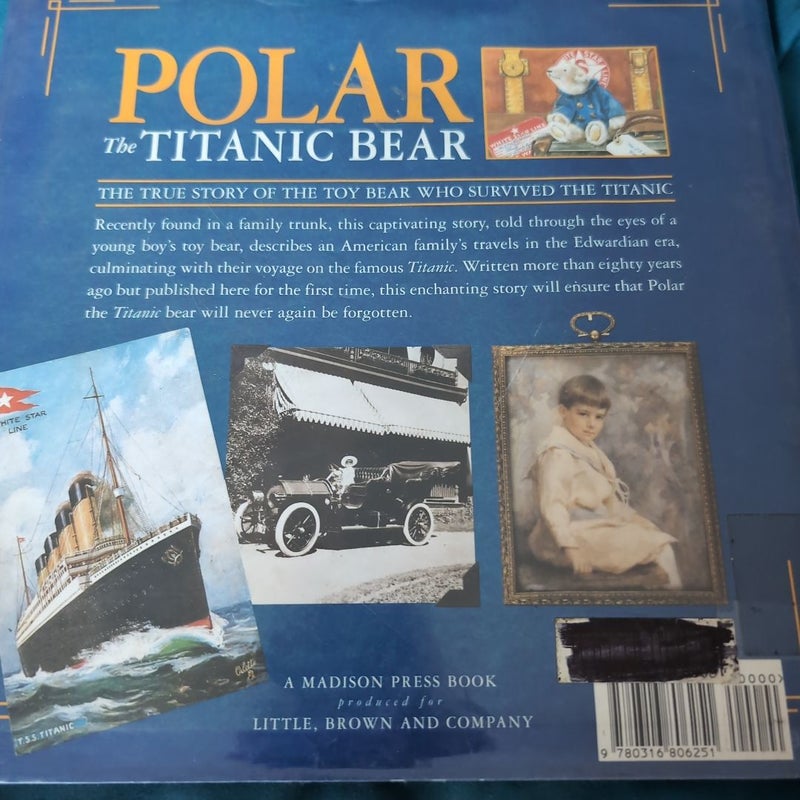 Polar the Titanic Bear