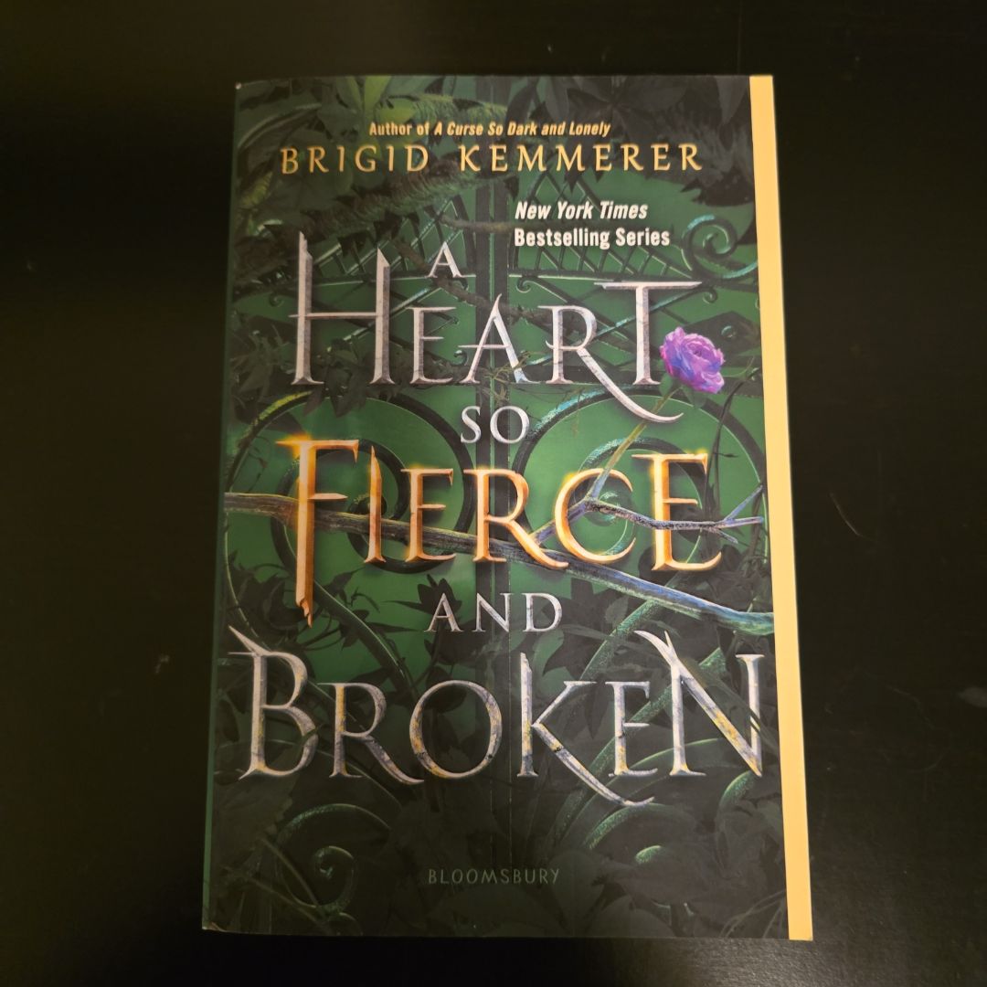 A Heart So Fierce and Broken