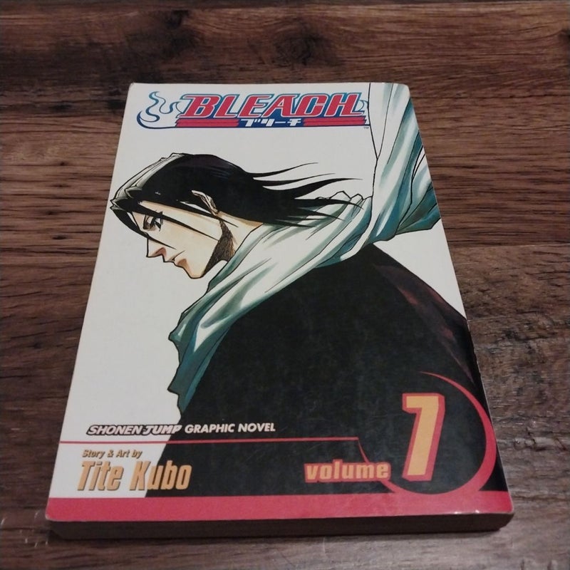 Bleach, Vol. 7