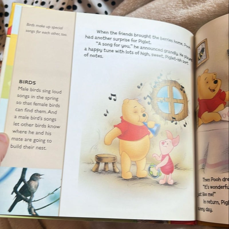 Winnie the Pooh: A Piglet Kind of Day