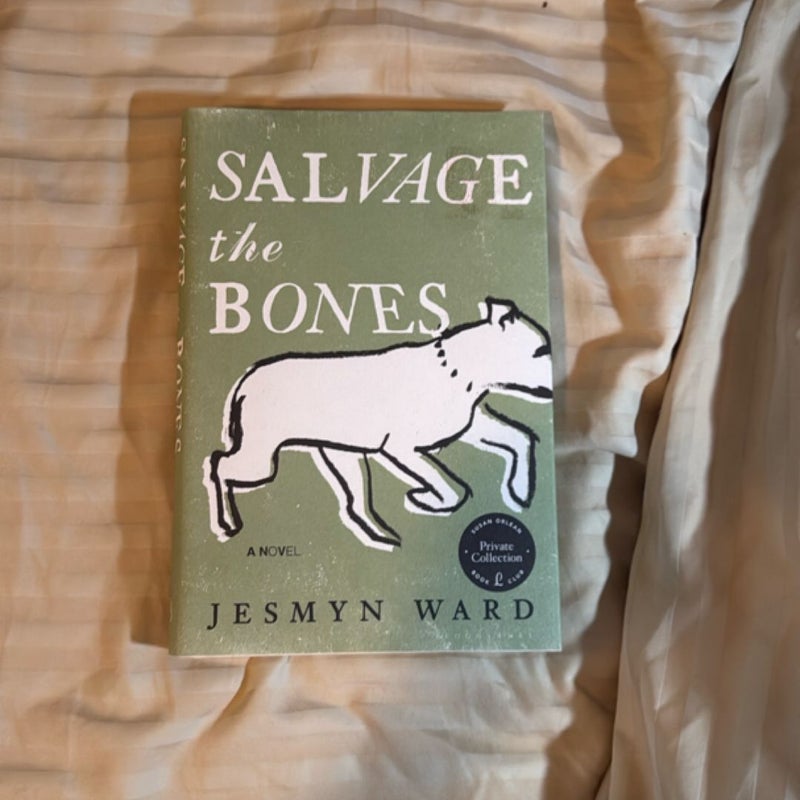 Salvage the Bones