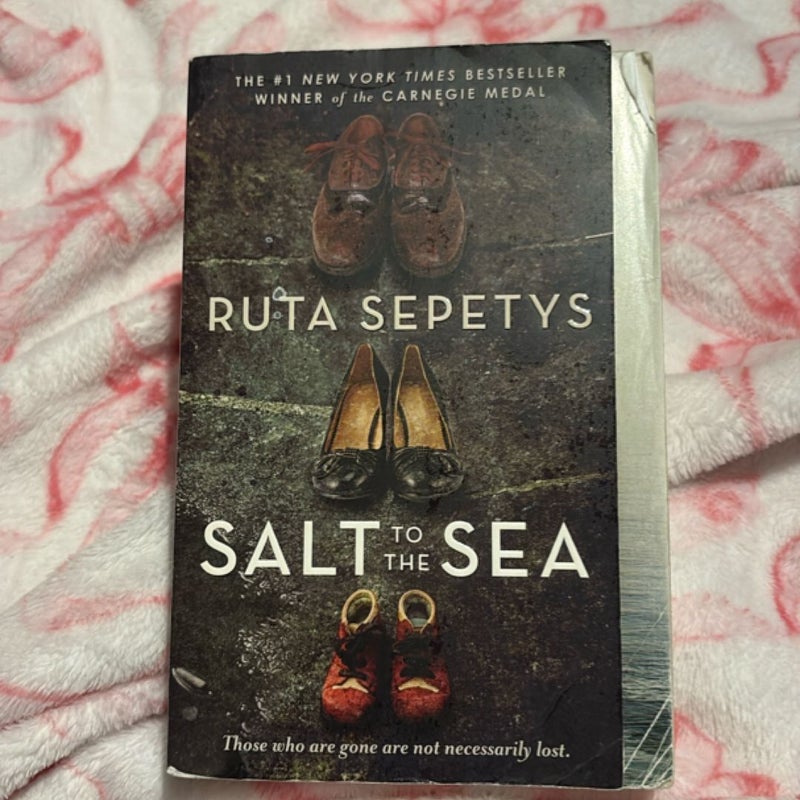 Salt to the Sea