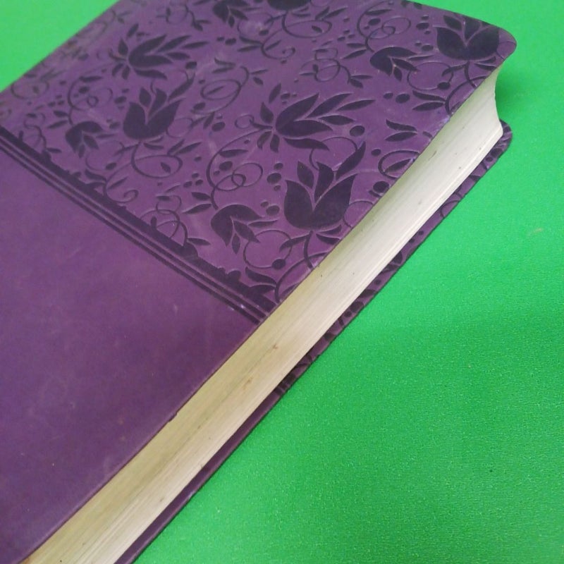 NIV Rainbow Study Bible, Purple LeatherTouch Indexed