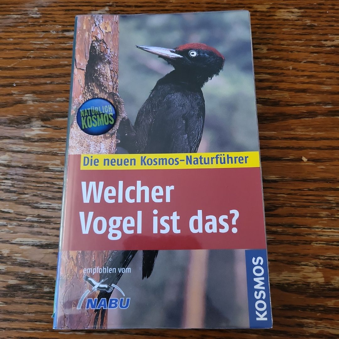 Welcher Vogel ist das?