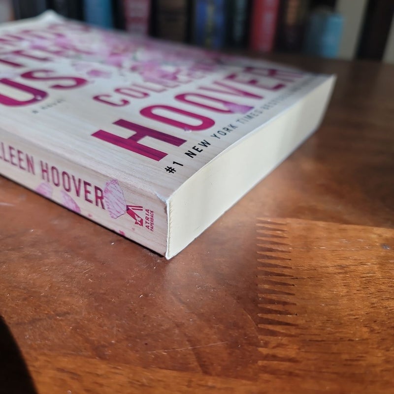 It Ends with Us, Book 1 of 2