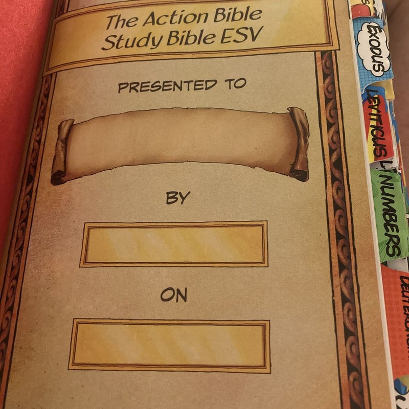 The Action Bible Study Bible ESV (Hardcover)