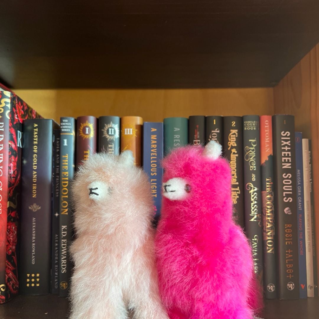 Lisa’s Shelves