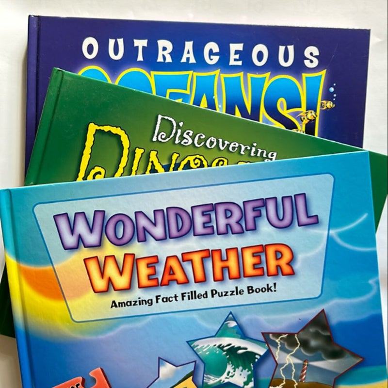 *BUNDLE* Puzzle Books