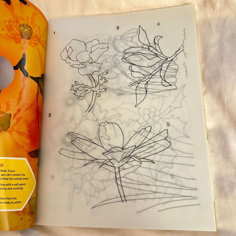 Ready to Paint in 30 Minutes: Flowers in Watercolour [Book]