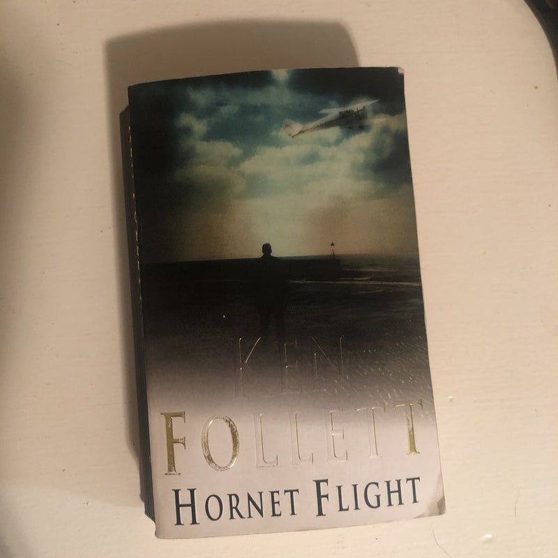 Hornet Flight p6