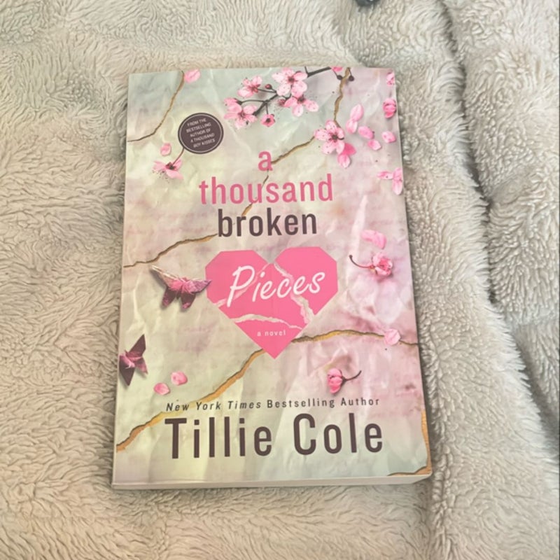 A Thousand Broken Pieces