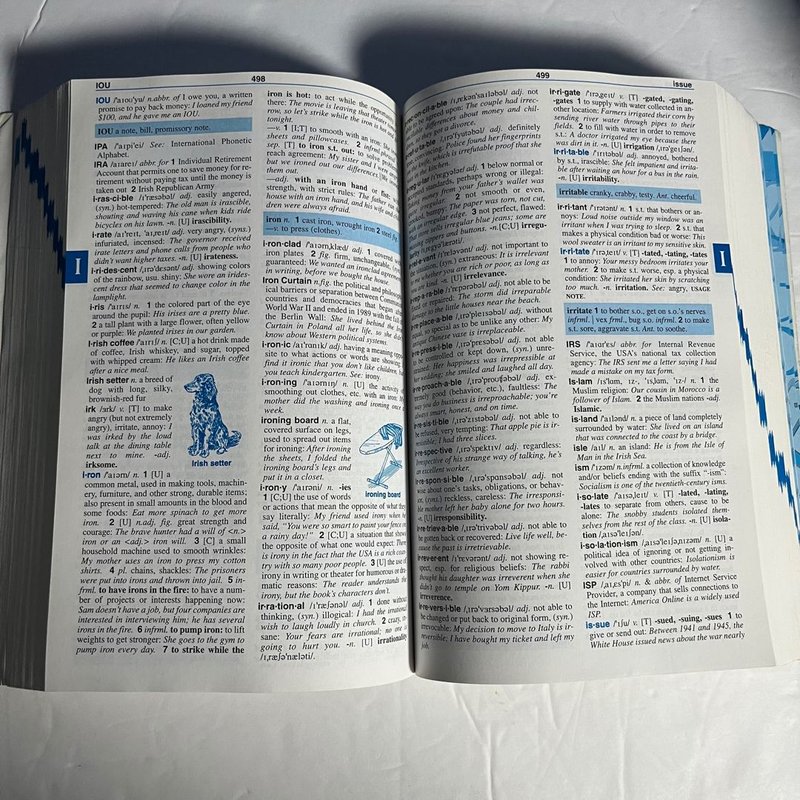 Newbury House Dictionary Plus Grammar Reference by Philip M. Rideout