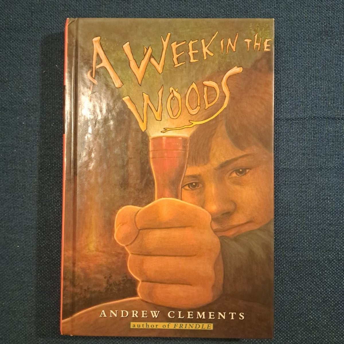 A Week in the Woods by Andrew Clements, Hardcover | Pangobooks