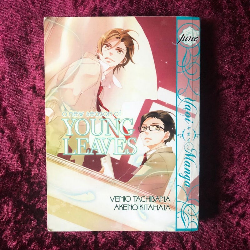A New Season of Young Leaves (Yaoi Manga)