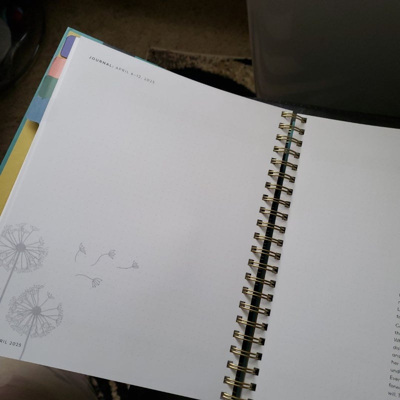 Ascension Planner - 2025