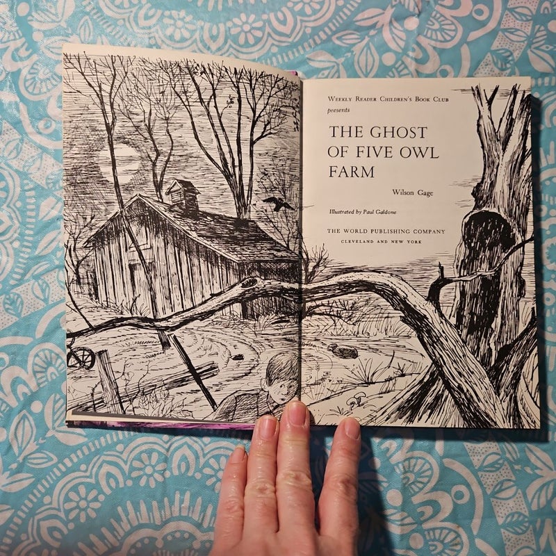 The Ghost of Five Owl Farm