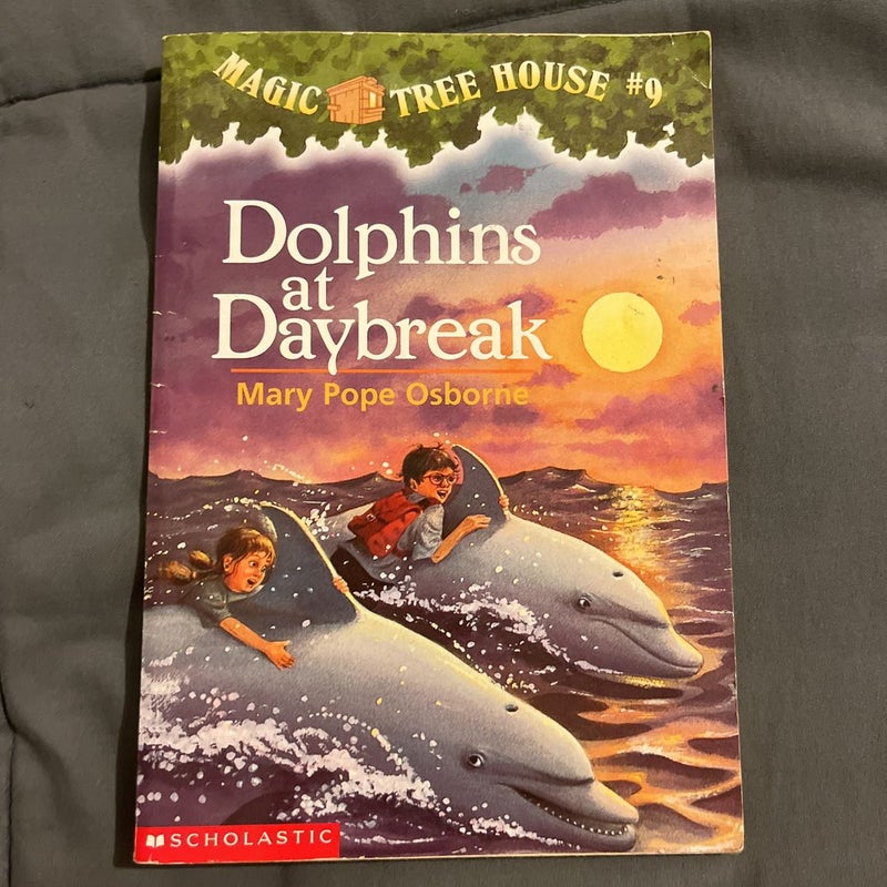 Dolphins at Daybreak