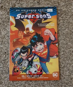 Super Sons Vol. 1: When I Grow Up (Rebirth)