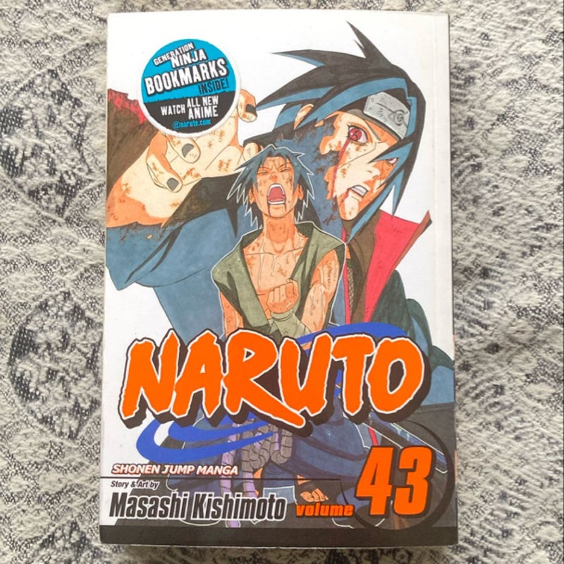 Naruto, Vol. 43